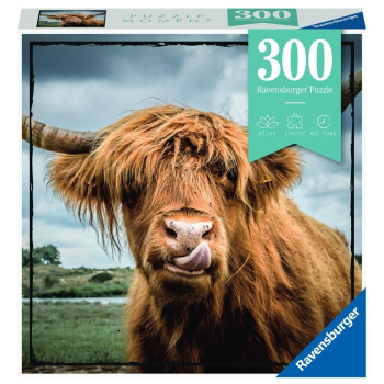 Puzzle Moment 300 Szkocka krowa